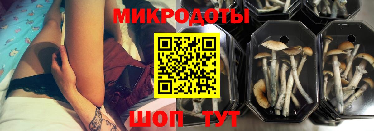 Псилоцибиновые грибы ЛСД Узловая